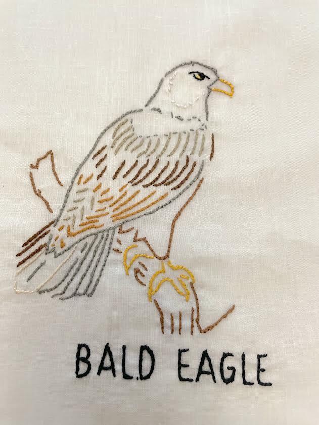 Vintage Hand Embroidered Bird, Bald Eagle, On Muslin