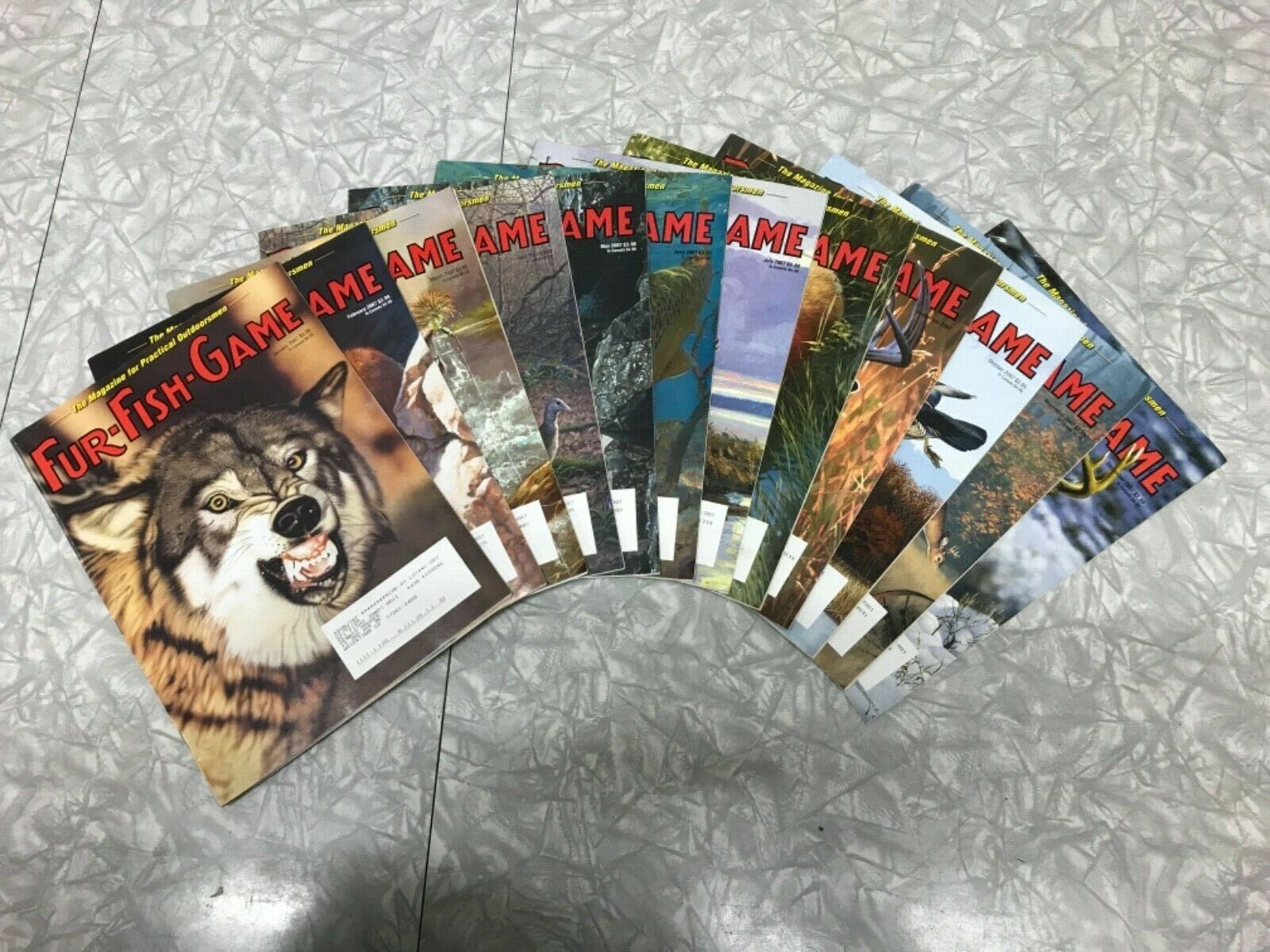 Vintage Fur Fish Game Magazine All 12 Issues Of 2007 Articles Advertising Decor